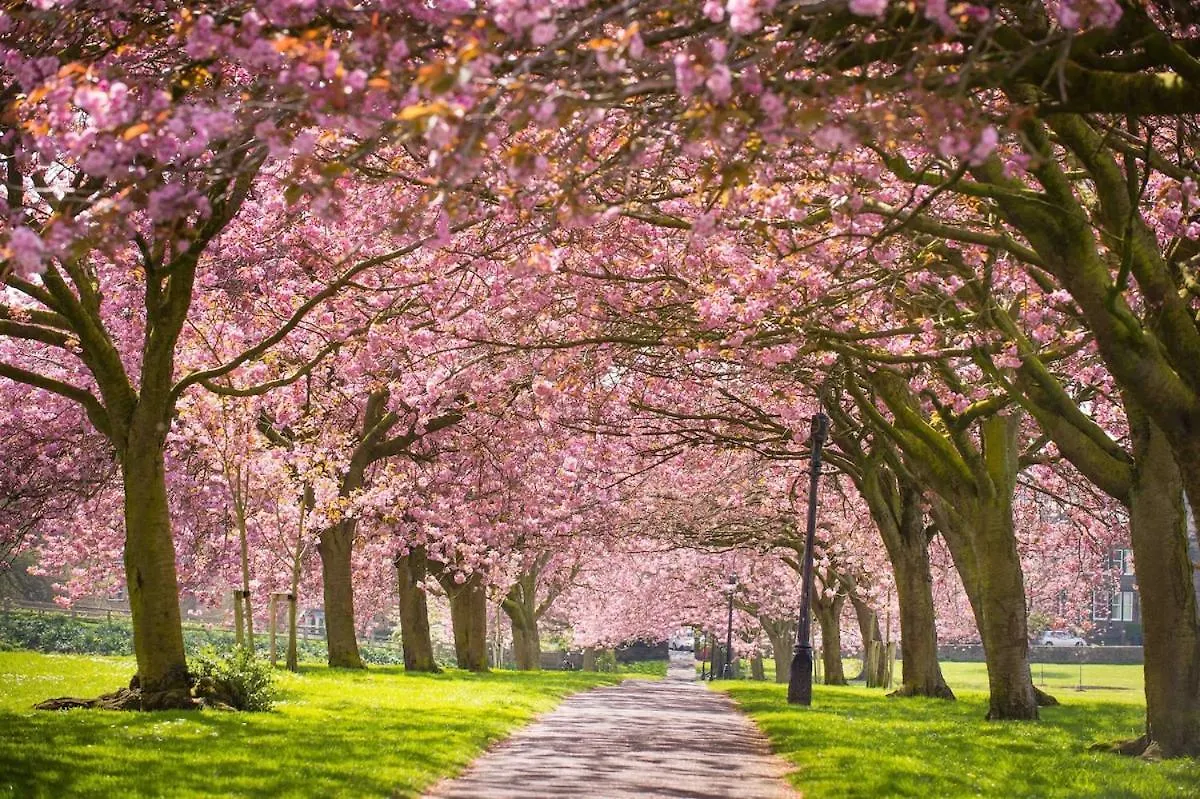 Quadrant Apartment Centre Of Harrogate Free Parking 0*,  Ηνωμένο Βασίλειο
